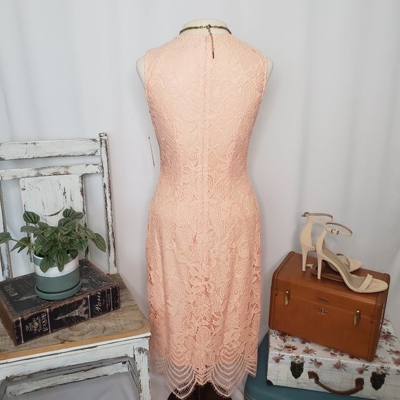 Peach Pink Sharagano Lace Midi Dress - Sz 6 (NWT) - Picture 4 of 15